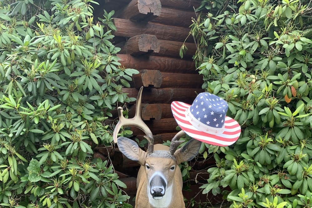 Photo of Outdoor in Mt. Bethel