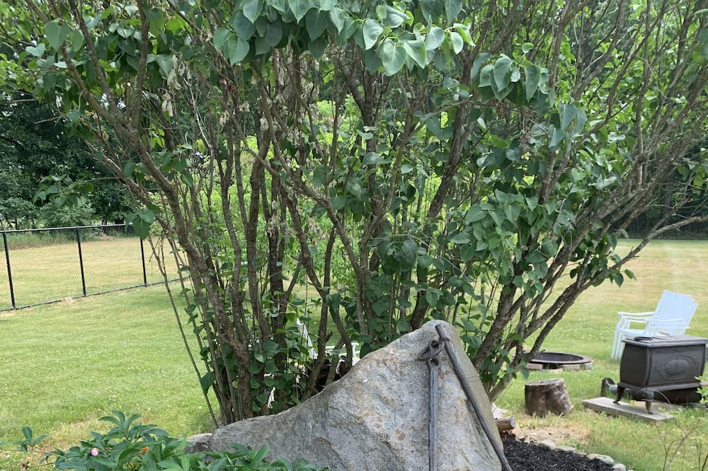 Photo of Outdoor in Mt. Bethel