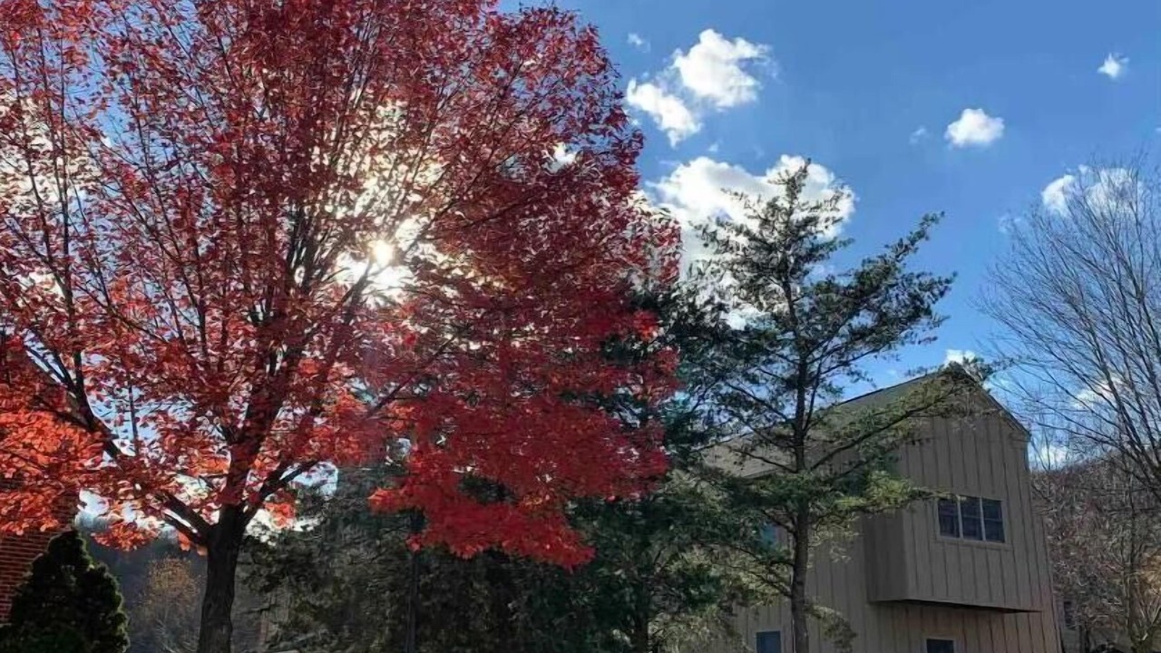 Photo of Outdoor in Mercersburg