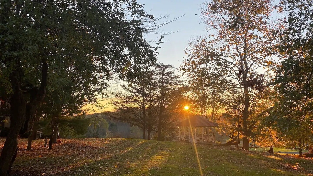 Photo of Outdoor in Flemington