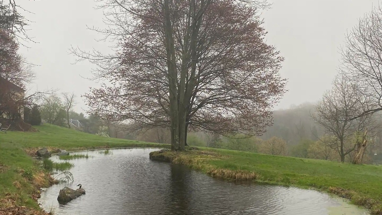 Photo of Outdoor in Flemington