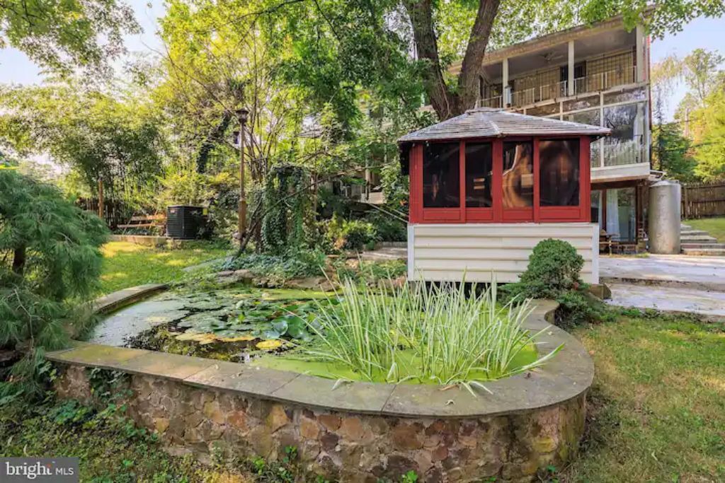 Photo of Outdoor in Wheaton-Glenmont