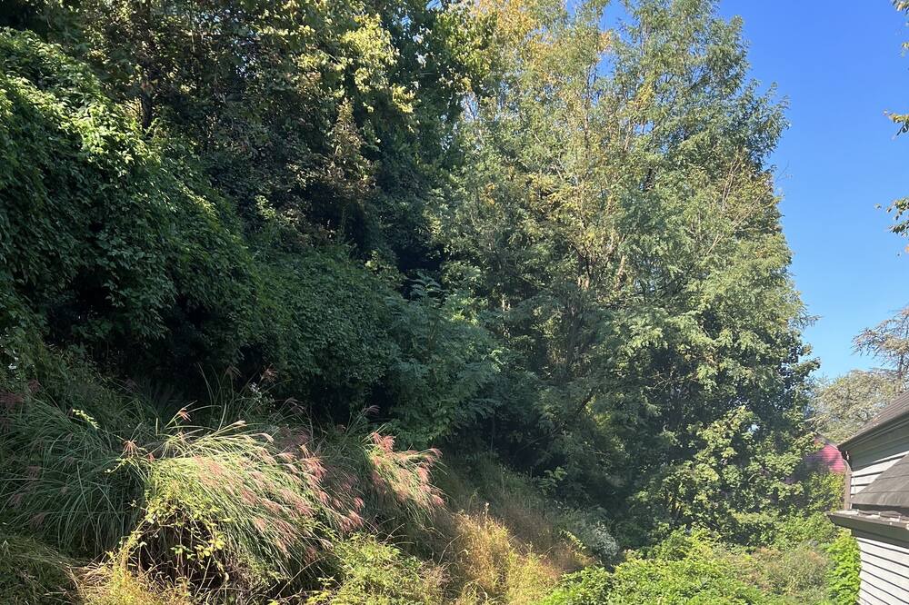 Photo of Outdoor in Piermont