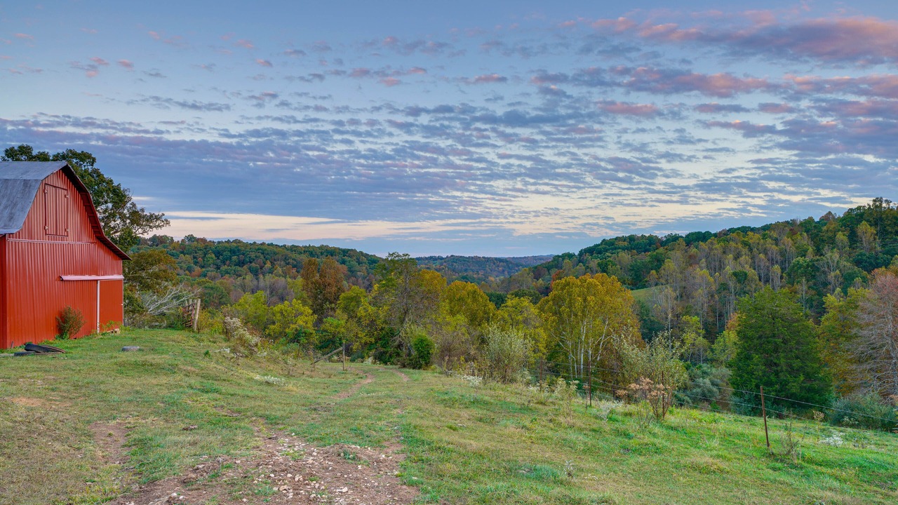 Photo of Outdoor in Ripley