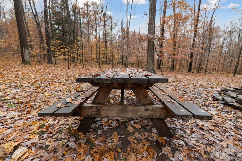 Photo of Outdoor in Tylersburg