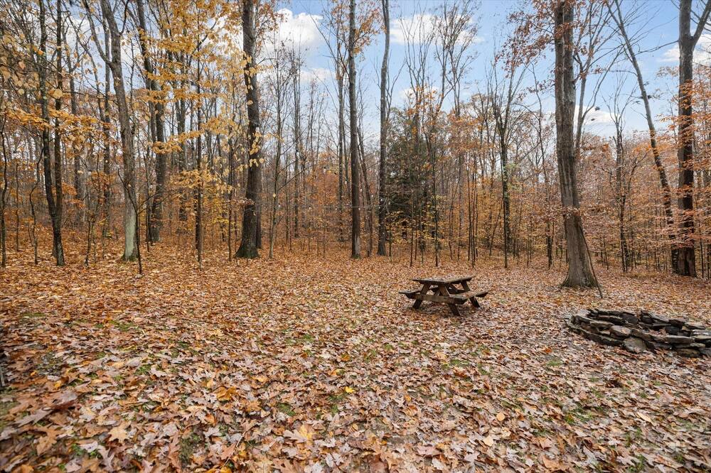 Photo of Outdoor in Tylersburg