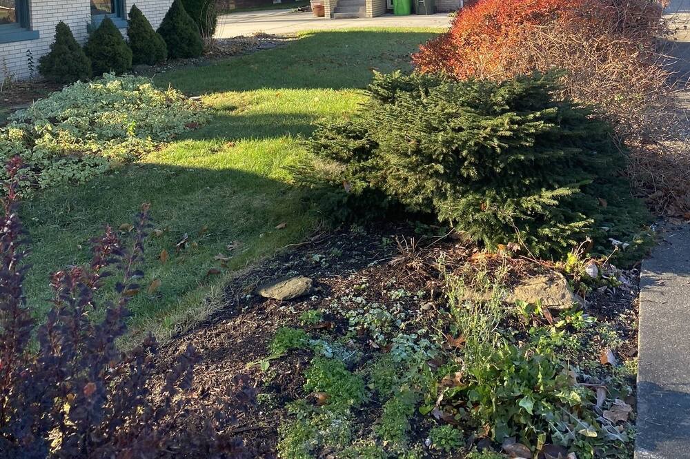 Photo of Outdoor in Dover