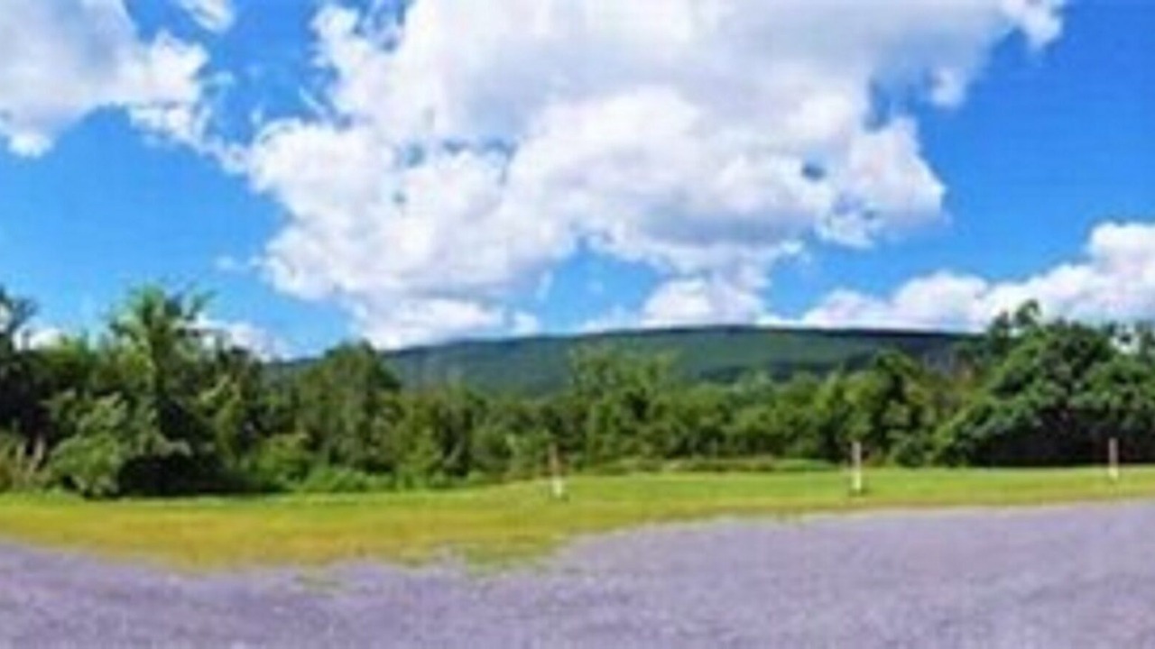 Photo of Outdoor in Lewistown