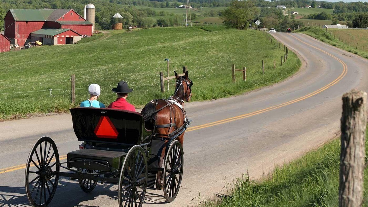 Photo of Others in Newcomerstown