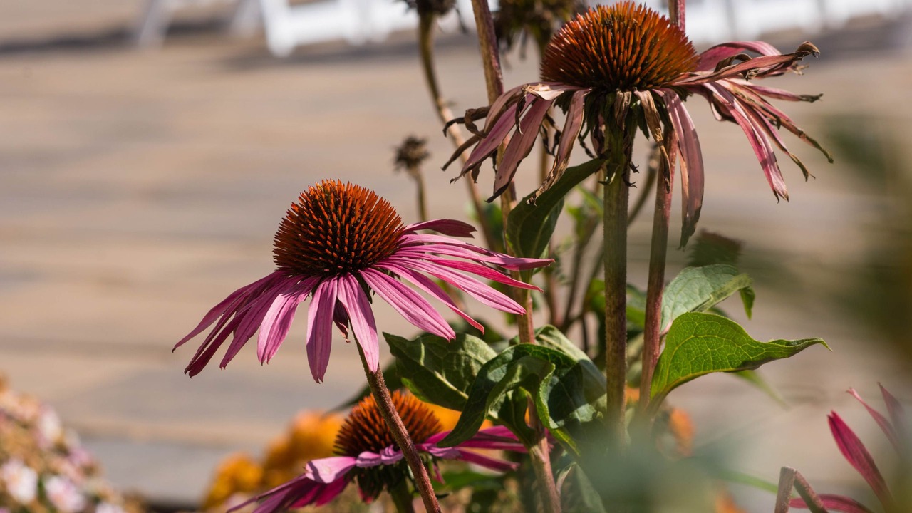 Photo of Outdoor in East Windsor