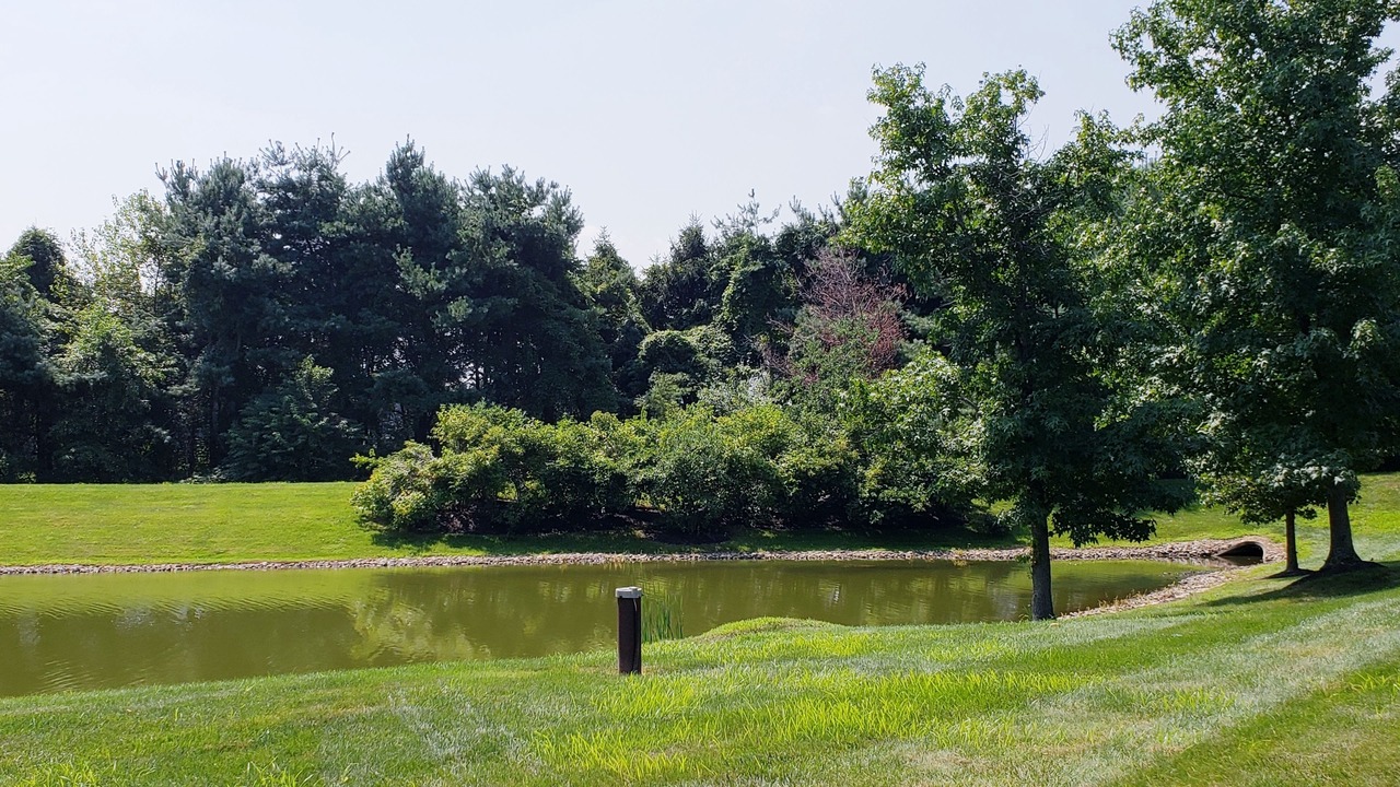Photo of Others in Morrisville
