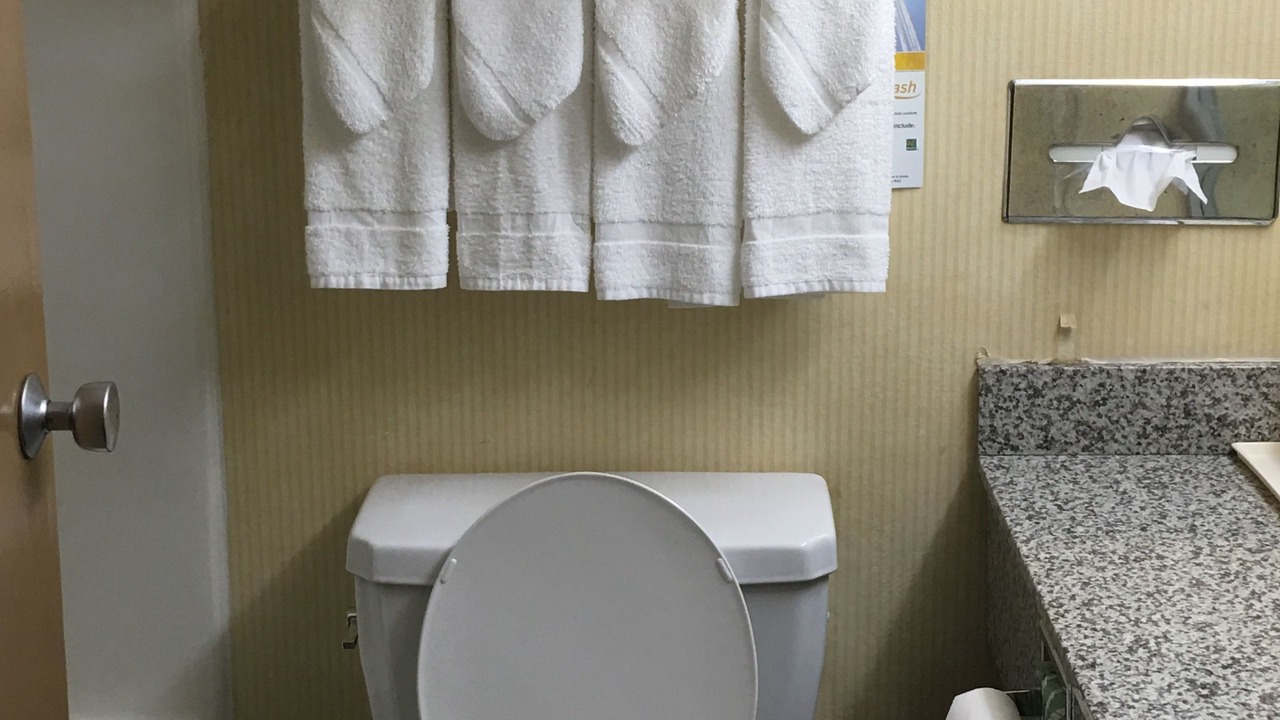 Photo of Bathroom in Hermitage