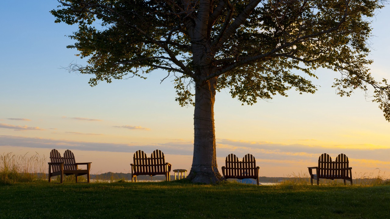 Photo of Outdoor in Cambridge