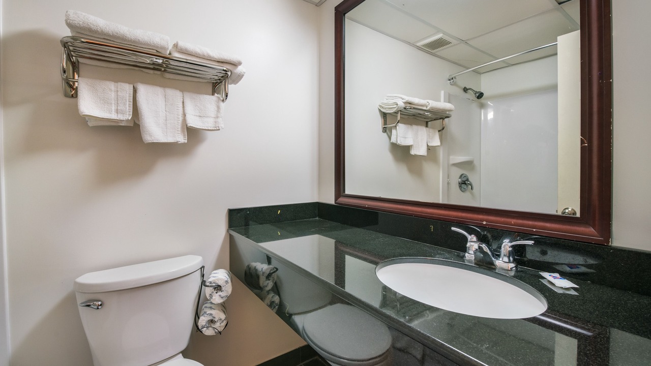 Photo of Bathroom in Levittown