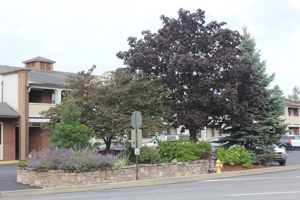 Photo of Buildings in Lewisburg