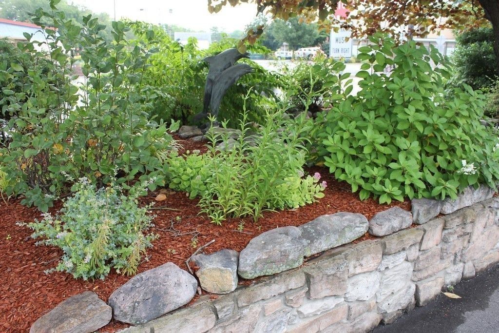 Photo of Outdoor in Lewisburg