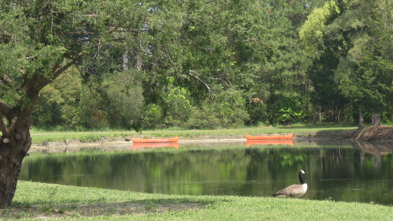 Photo of Outdoor in Quinby