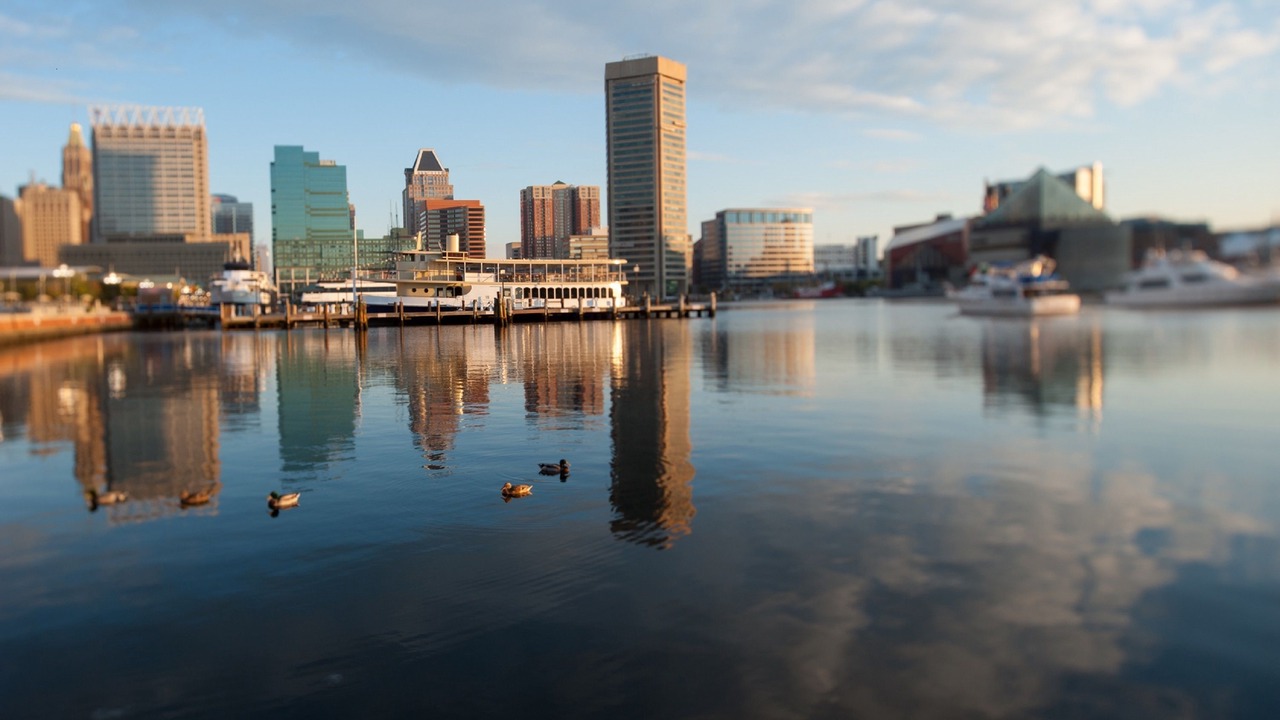 Photo of Others in Downtown Baltimore