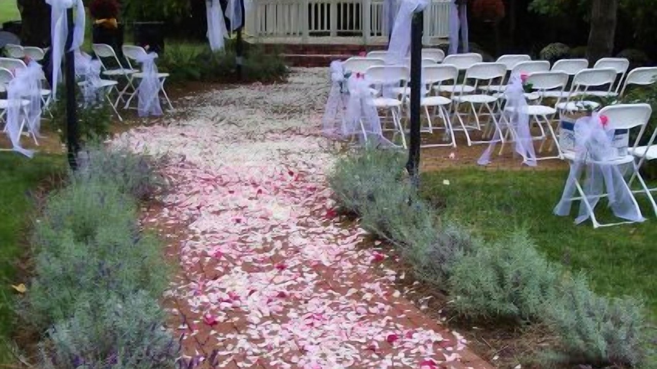 Photo of Outdoor in Mason