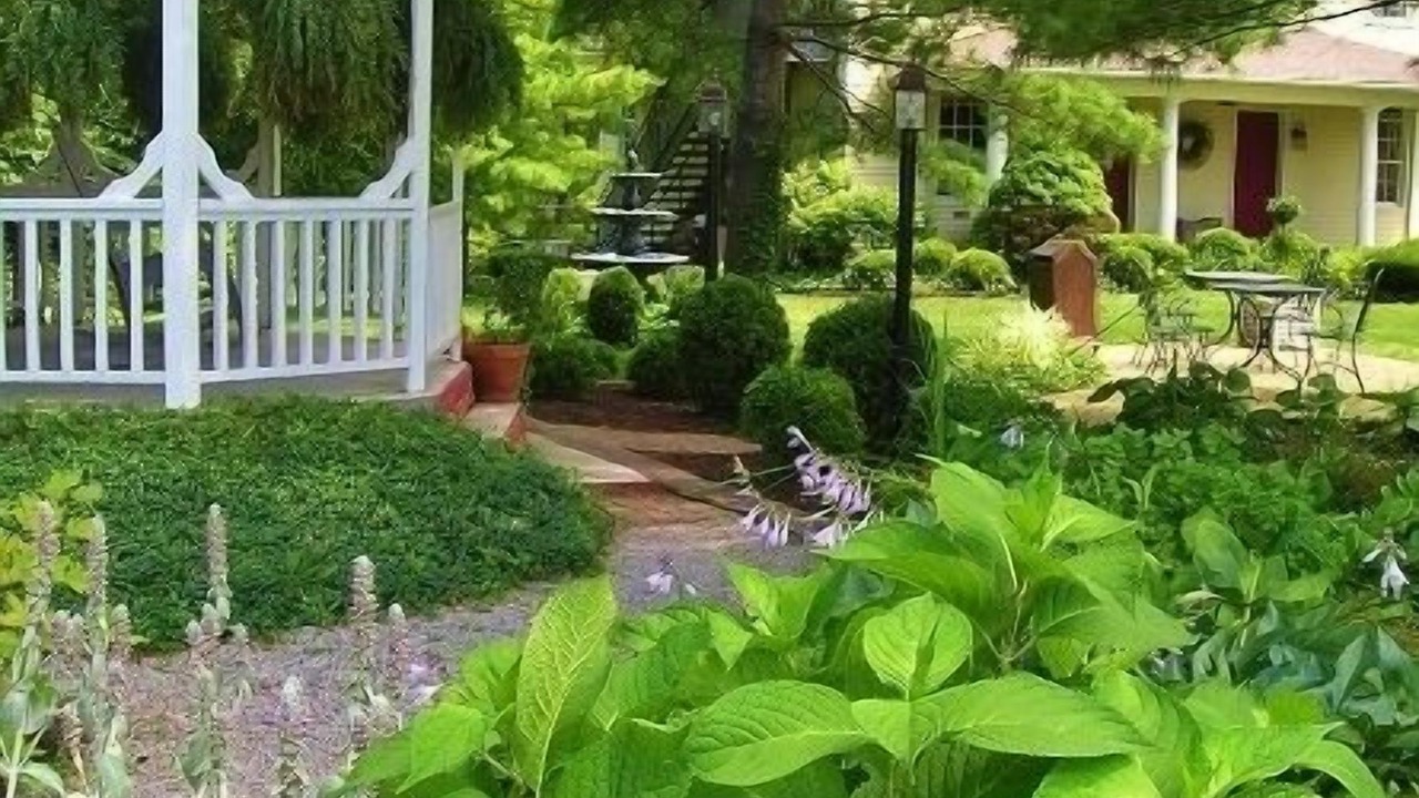 Photo of Outdoor in Mason