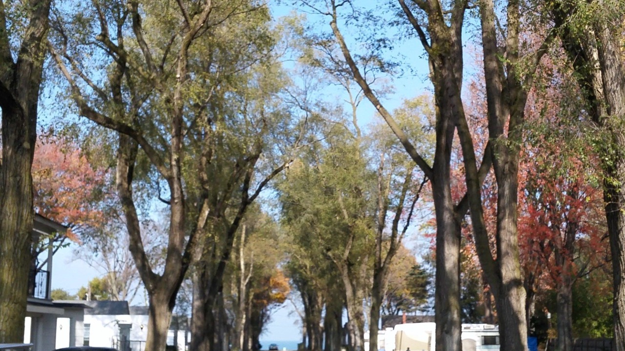 Photo of Others in Huron