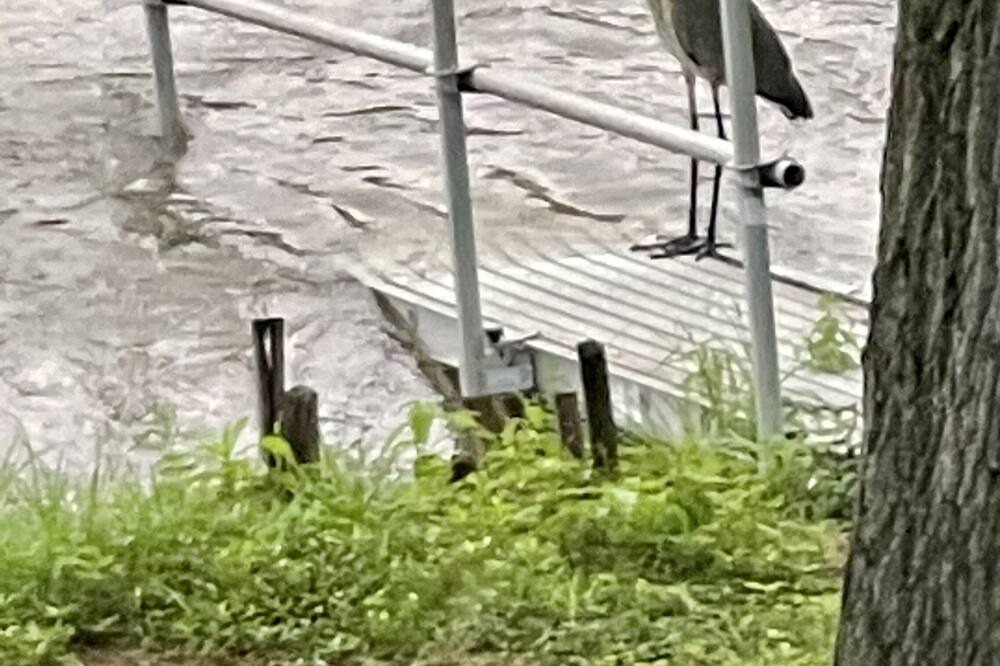 Photo of Others in Camp Hill