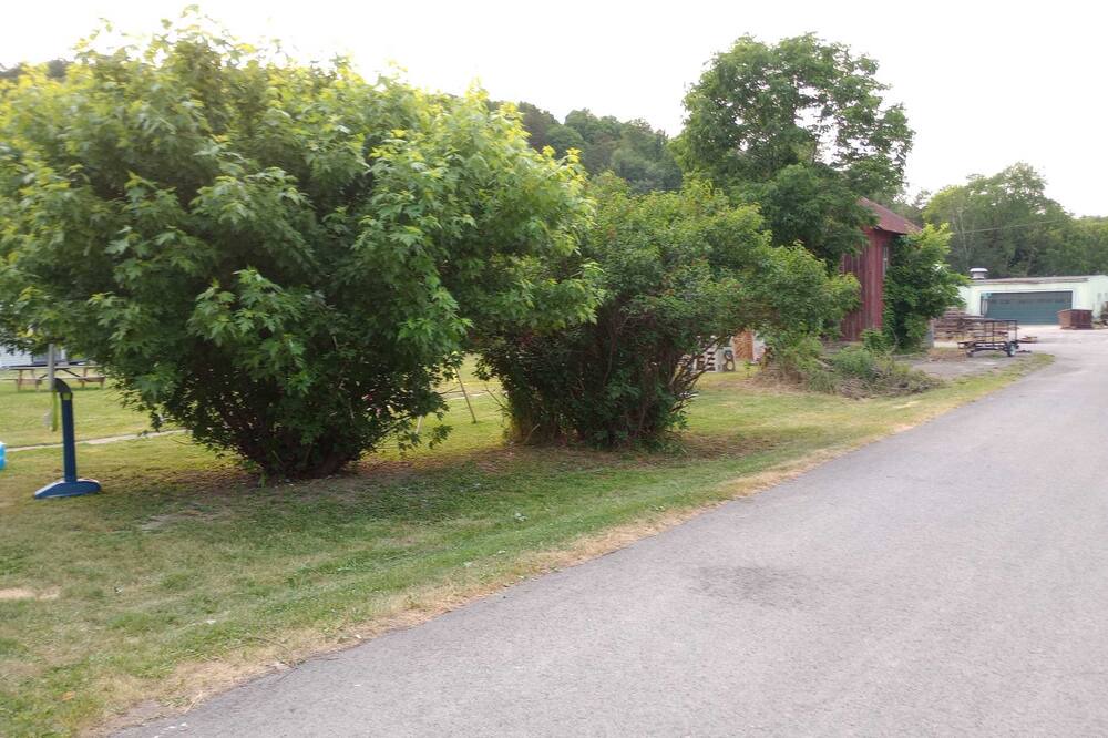 Photo of Outdoor in McClure