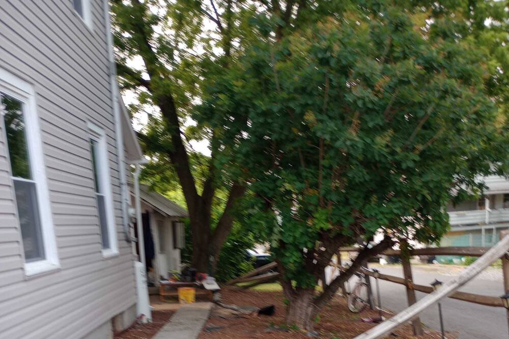Photo of Outdoor in McClure
