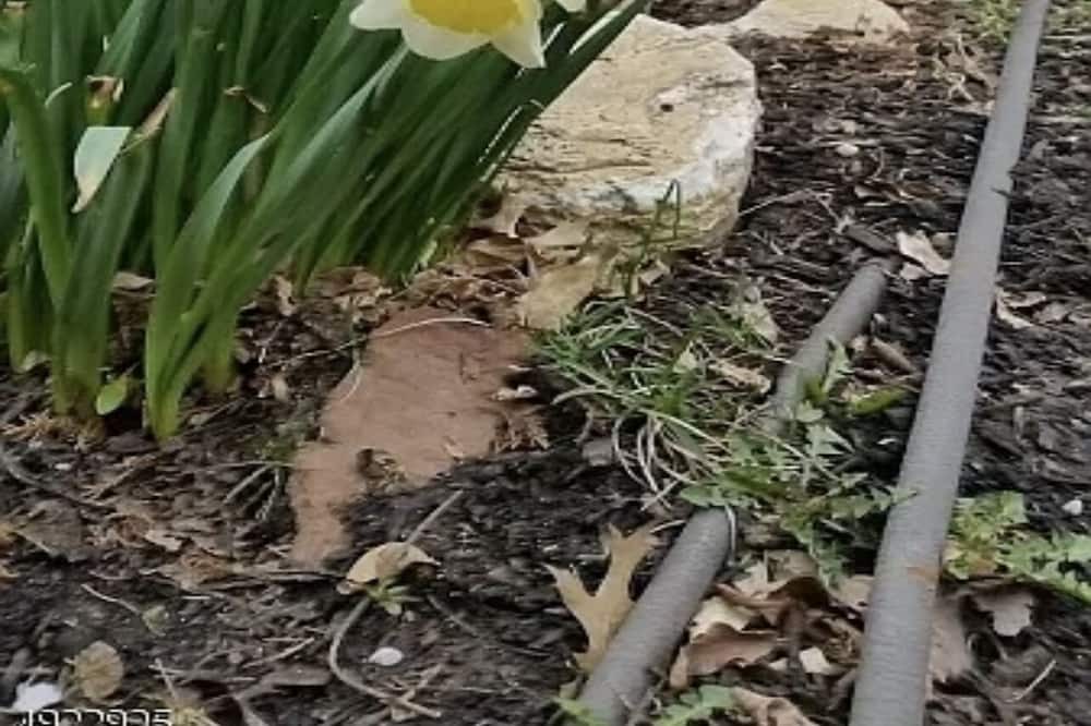 Photo of Outdoor in Roselle