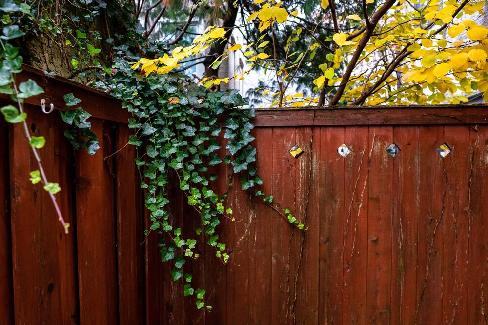 Photo of Outdoor in Southwark