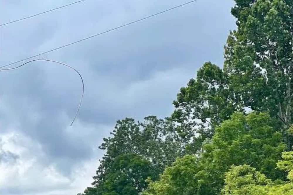 Photo of Outdoor in Metamora