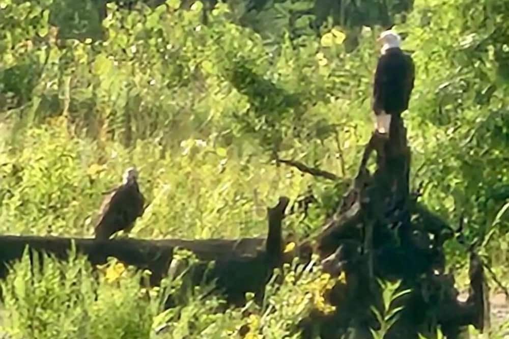 Photo of Outdoor in Metamora