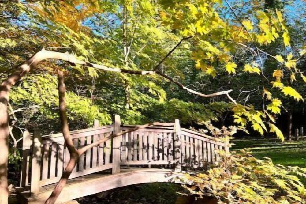Photo of Outdoor in Mount Arlington