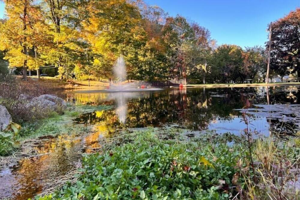 Photo of Outdoor in Mount Arlington