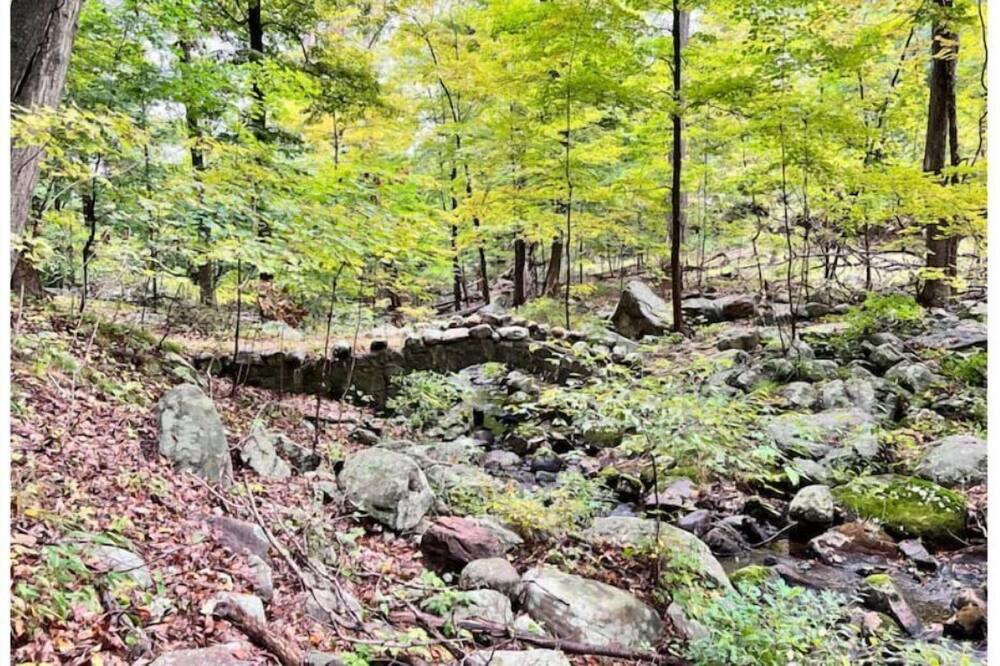 Photo of Outdoor in Mount Arlington
