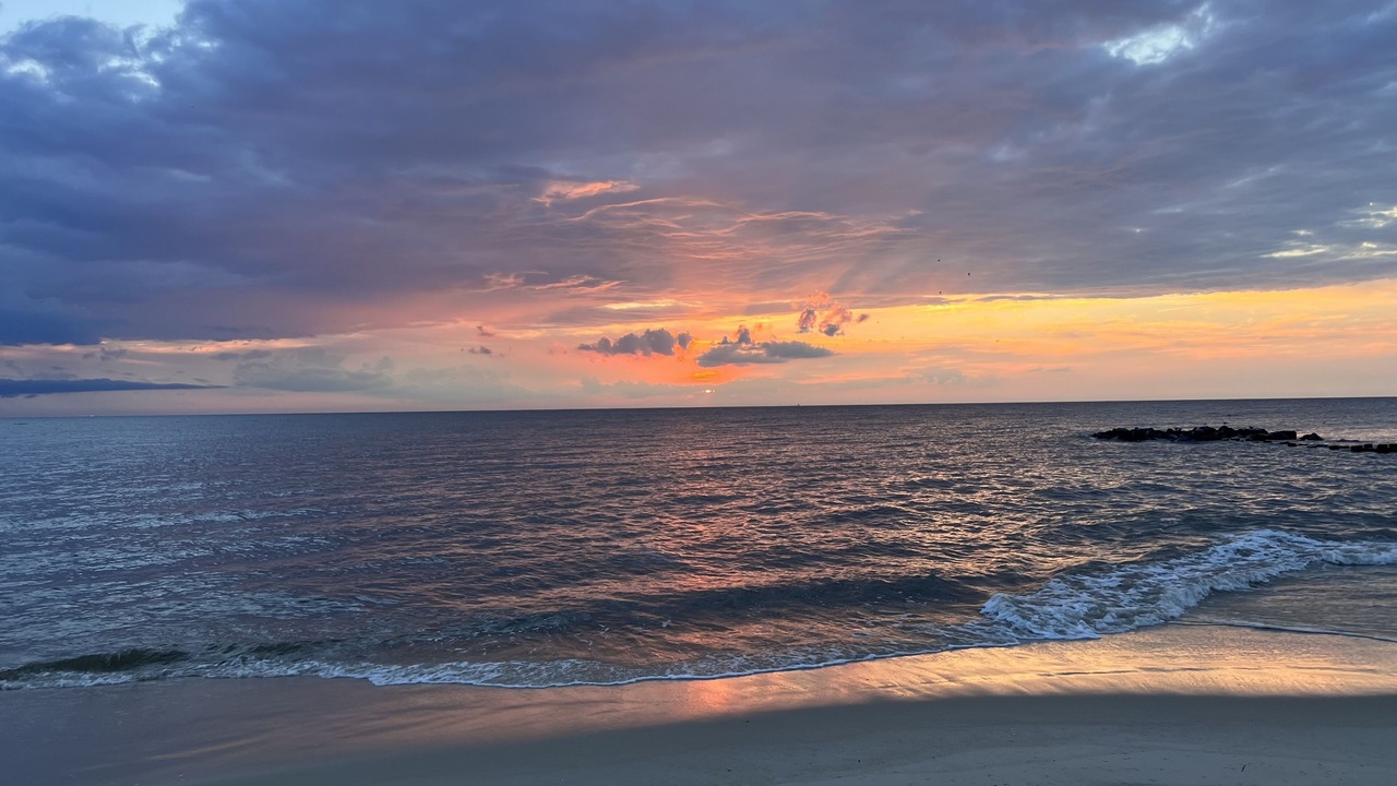 Photo of Outdoor in North Cape May