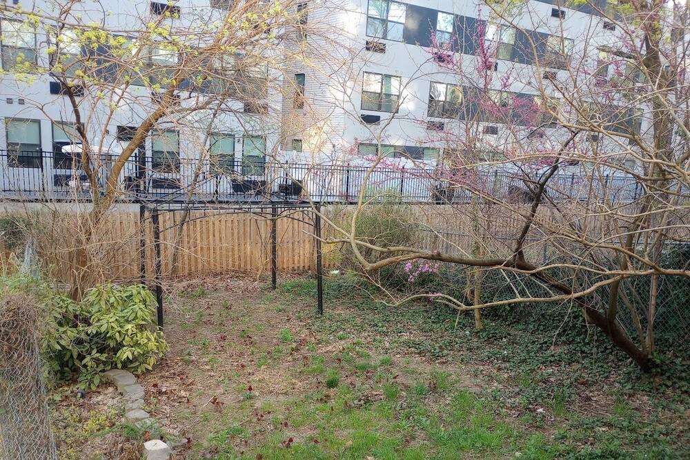 Photo of Others in Communipaw