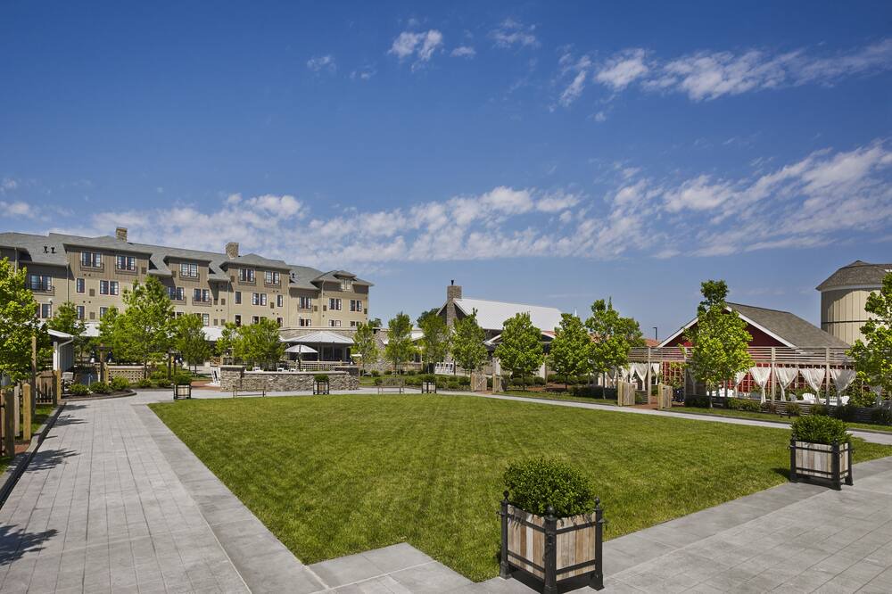 Photo of Outdoor in Stevensville
