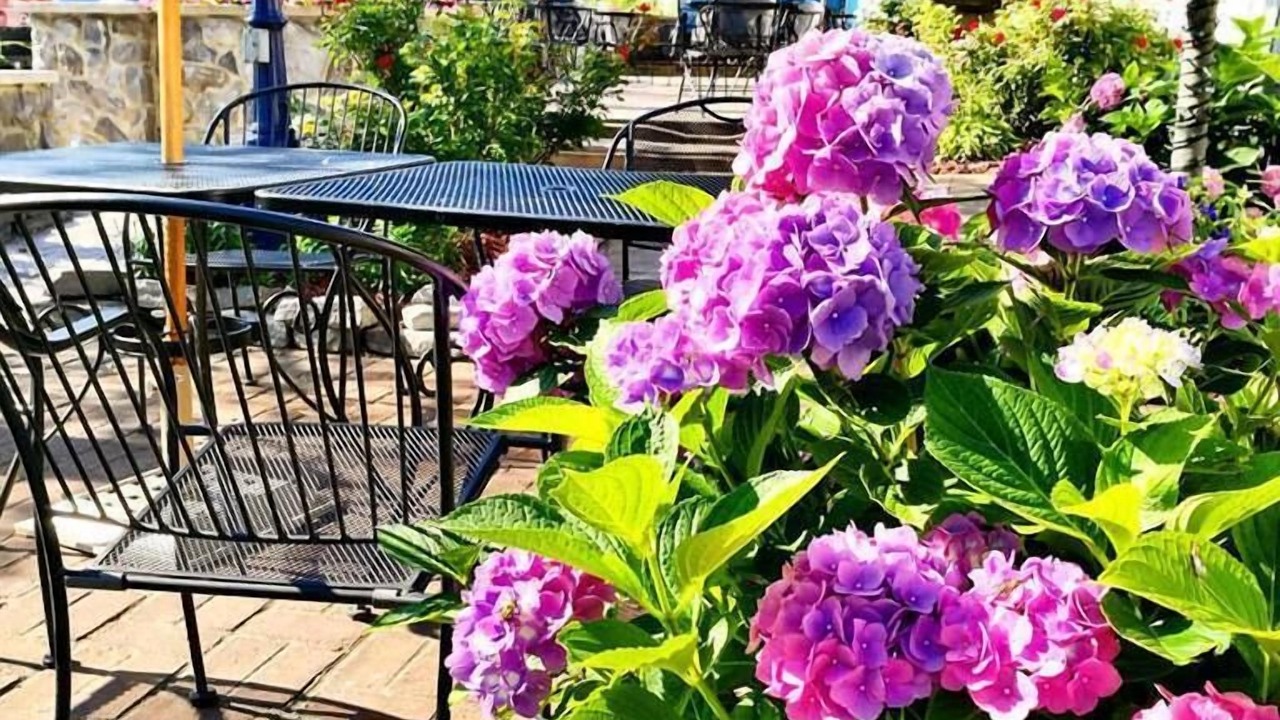 Photo of Outdoor in Put-in-Bay