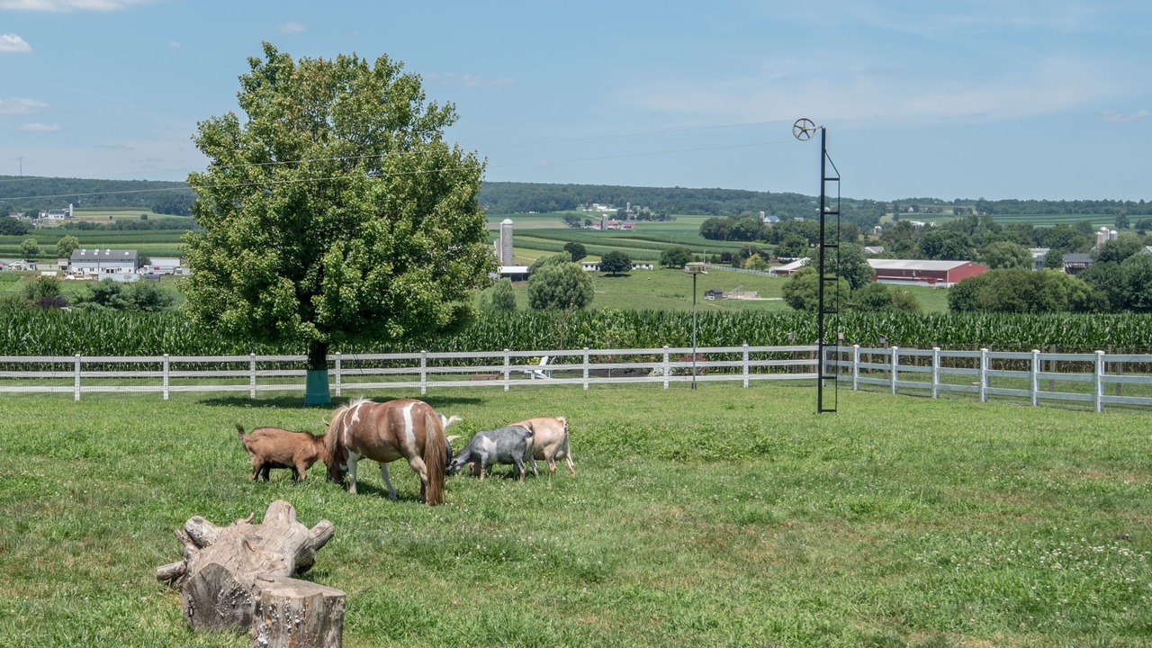Photo of Outdoor in Gap