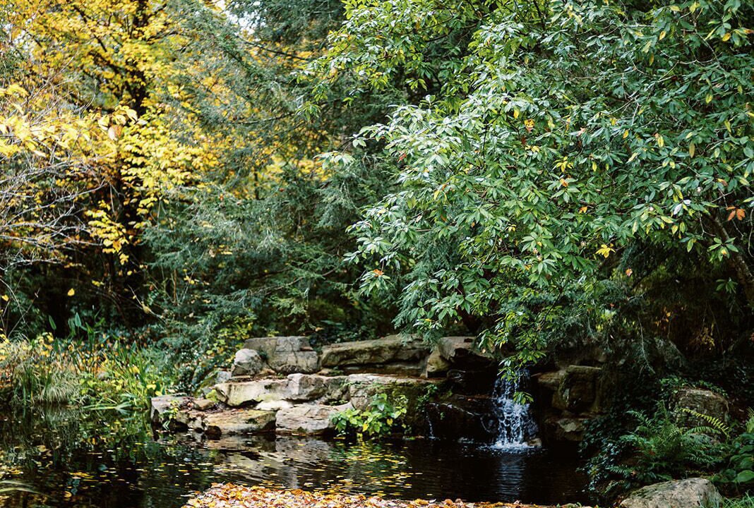 Photo of Outdoor in Maryville