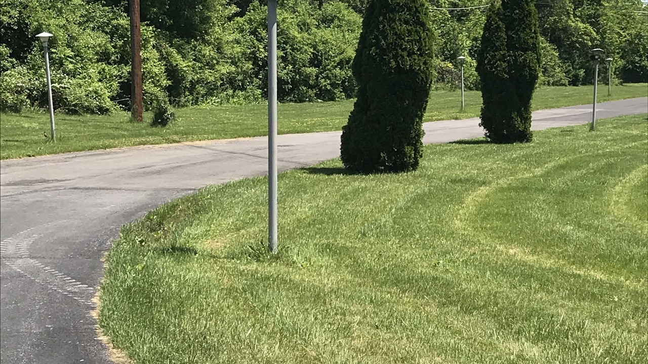 Photo of Outdoor in East Texas