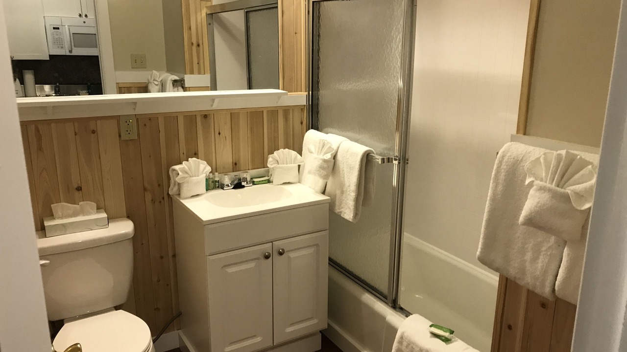 Photo of Bathroom in Pocono Manor