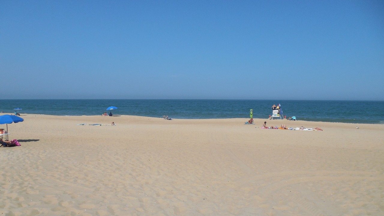 Photo of Others in Dewey Beach