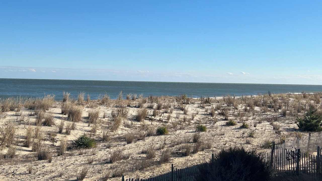 Photo of Others in Rehoboth by the Sea