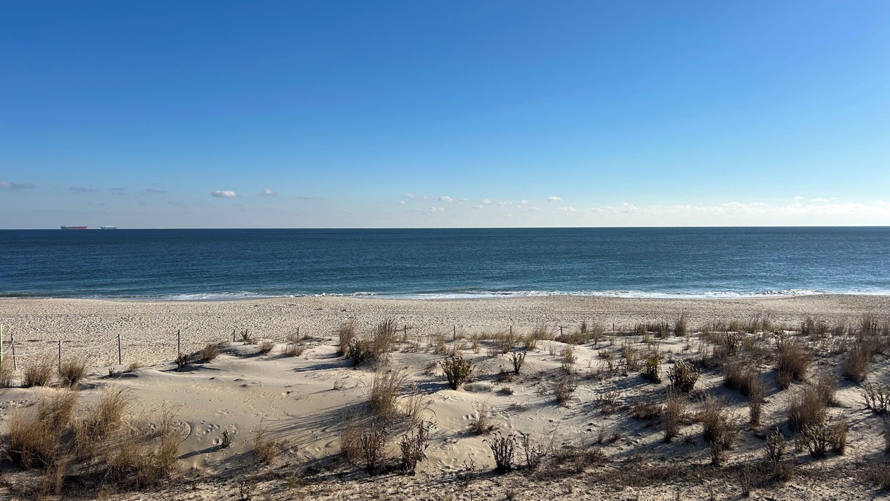 Photo of Others in Rehoboth by the Sea