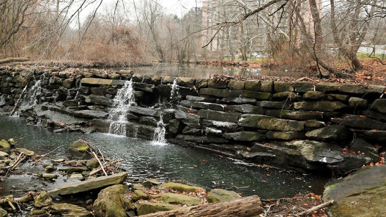 Photo of Outdoor in Swarthmore