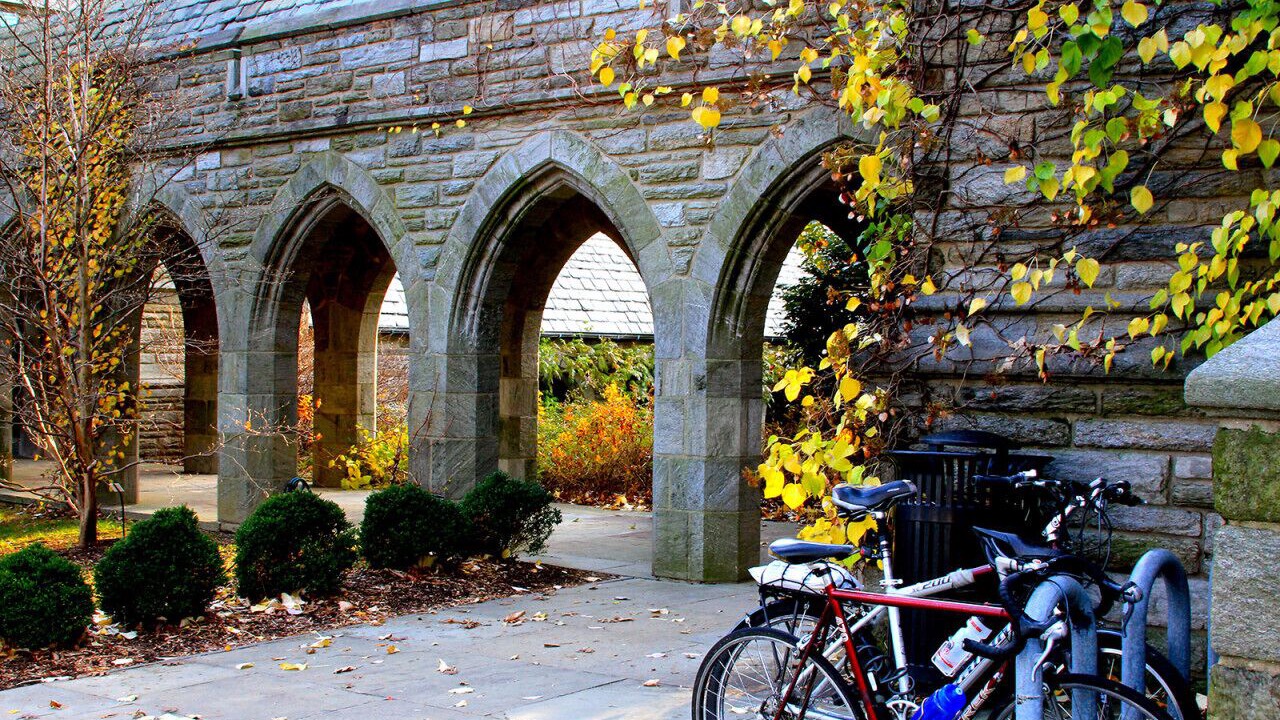 Photo of Others in Swarthmore