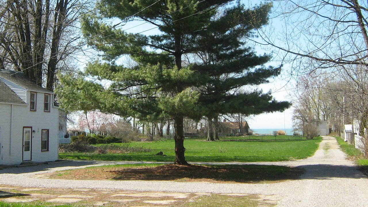 Photo of Outdoor in Eastlake