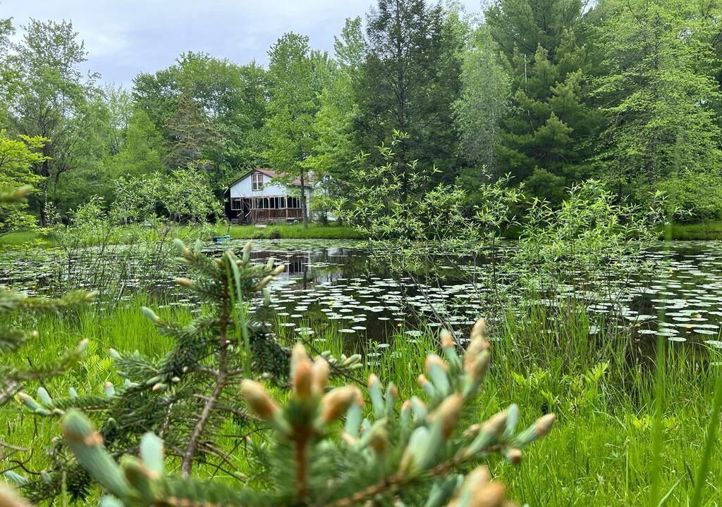 Photo of Outdoor in Ellenville